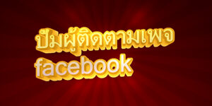 ปั้มผู้ติดตามเพจ facebook