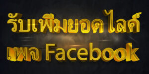 รับเพิ่มยอดไลค์เพจ Facebook