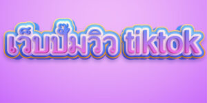 เว็บปั๊มวิว tiktok